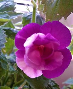 ; ACUM!!!Postez,cand ma plictisesc,ma opresc;))))
