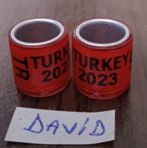 2022-Turcia- fara talon....-1 leu