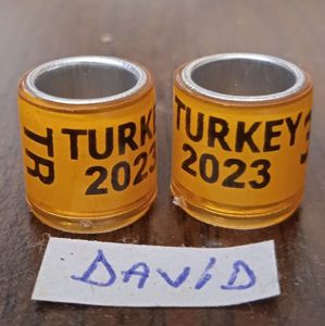2023-Turcia-fara talon ...1 leu