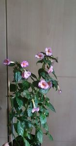 received_633264338183143