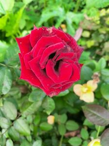 IMG20220926094506