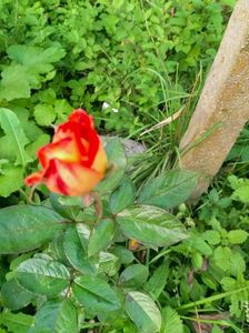 IMG20220926094437