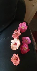 received_463067665783309