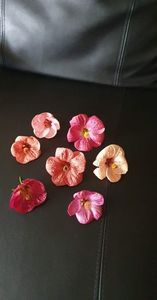 received_621701342947807