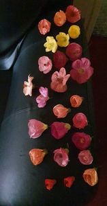 received_647686830077454