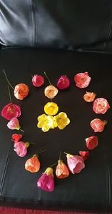 received_653867089336643