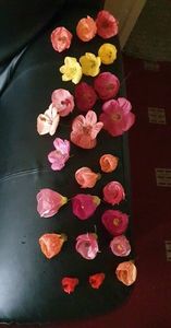 received_1271665726929153