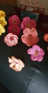 received_483501543641804
