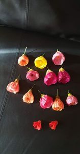 received_1211784859396116