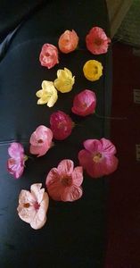 received_849209632783817