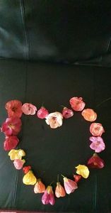 received_458806729534637