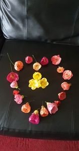 received_5487949674652660
