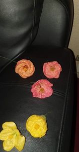 received_1284213819010068