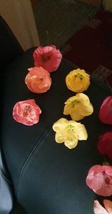 received_582274623686441