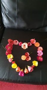 received_651506933260617