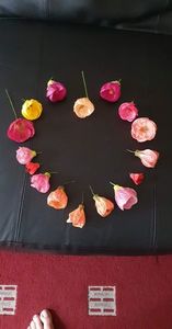 received_388485523320327