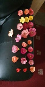 received_625099335784077
