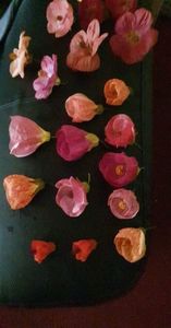 received_5476742922361141