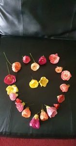 received_1138589423704840