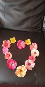 received_1124319341847716