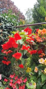 received_610574434130116