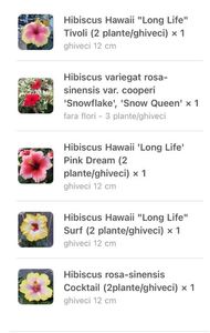 02E86047-C253-4D86-8FAC-C7898B370D78