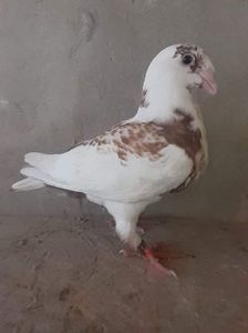 received_1680006289059182