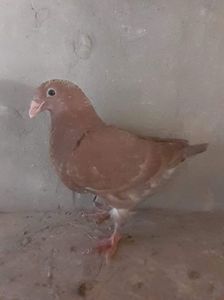 received_602955151400596