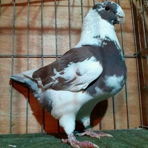 received_659808415444184