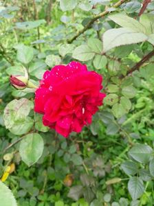 IMG20221003122753