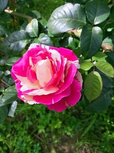 IMG20221003122537