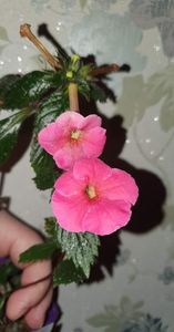 received_644210253898639