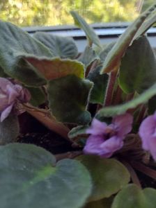 IMG-20221006-WA0004