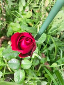 IMG20221010105332