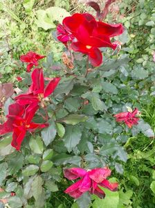 IMG20221010105315