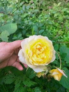 IMG20221010105242