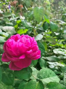 IMG20221010105205