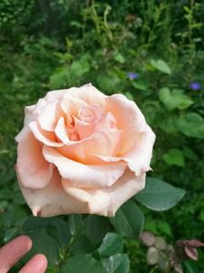 IMG20221010105156