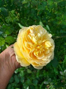 IMG20221010104504_BURST001