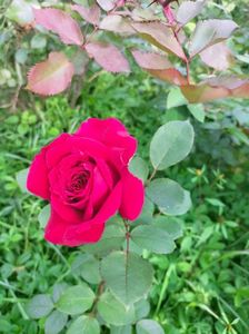 IMG20221010104348