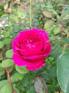 IMG20221010104333