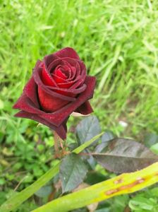 IMG20221010103050