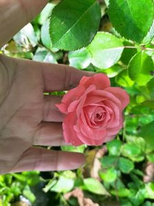 IMG20221010101801