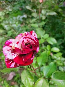 IMG20221011120951