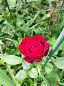 IMG20221011120906