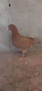 received_627255692183934