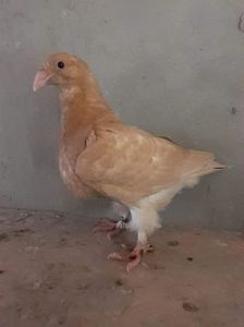 received_625148412439014