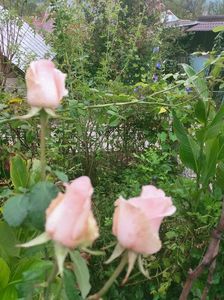 IMG20221012092239