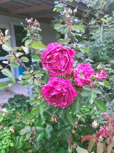 IMG20221012092152