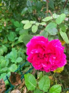 IMG20221012092144
